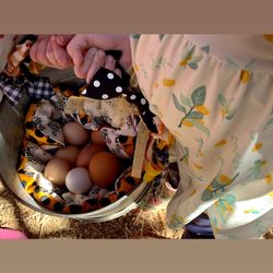 Farm fresh eggs
