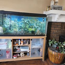 60 Gallon Fish Tank