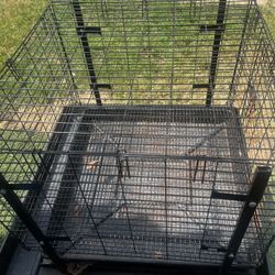 Bunny Cage