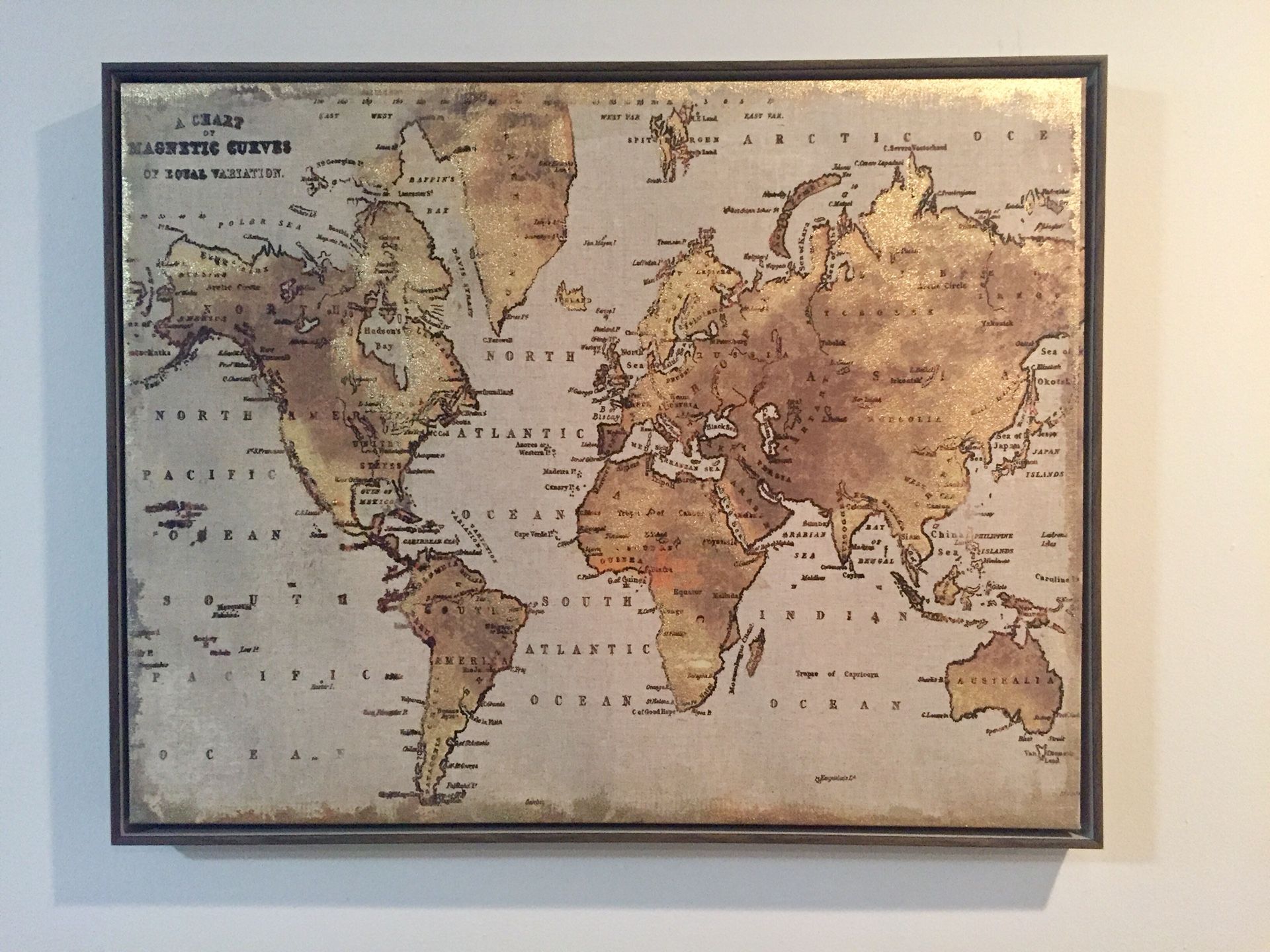 World Map with Gold Push Pins