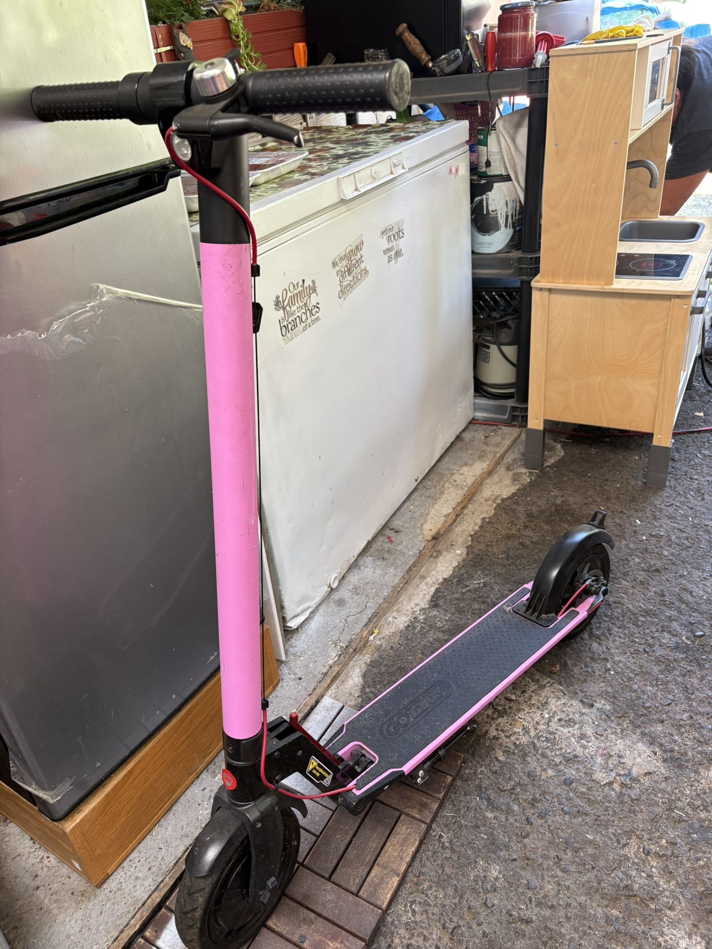 Gotrax Electric Scooter