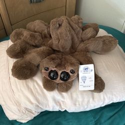 Build a bear- Jumping spider 