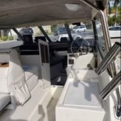 1986 Bayliner Trophy Cuddy Boat 2160 With Trailer