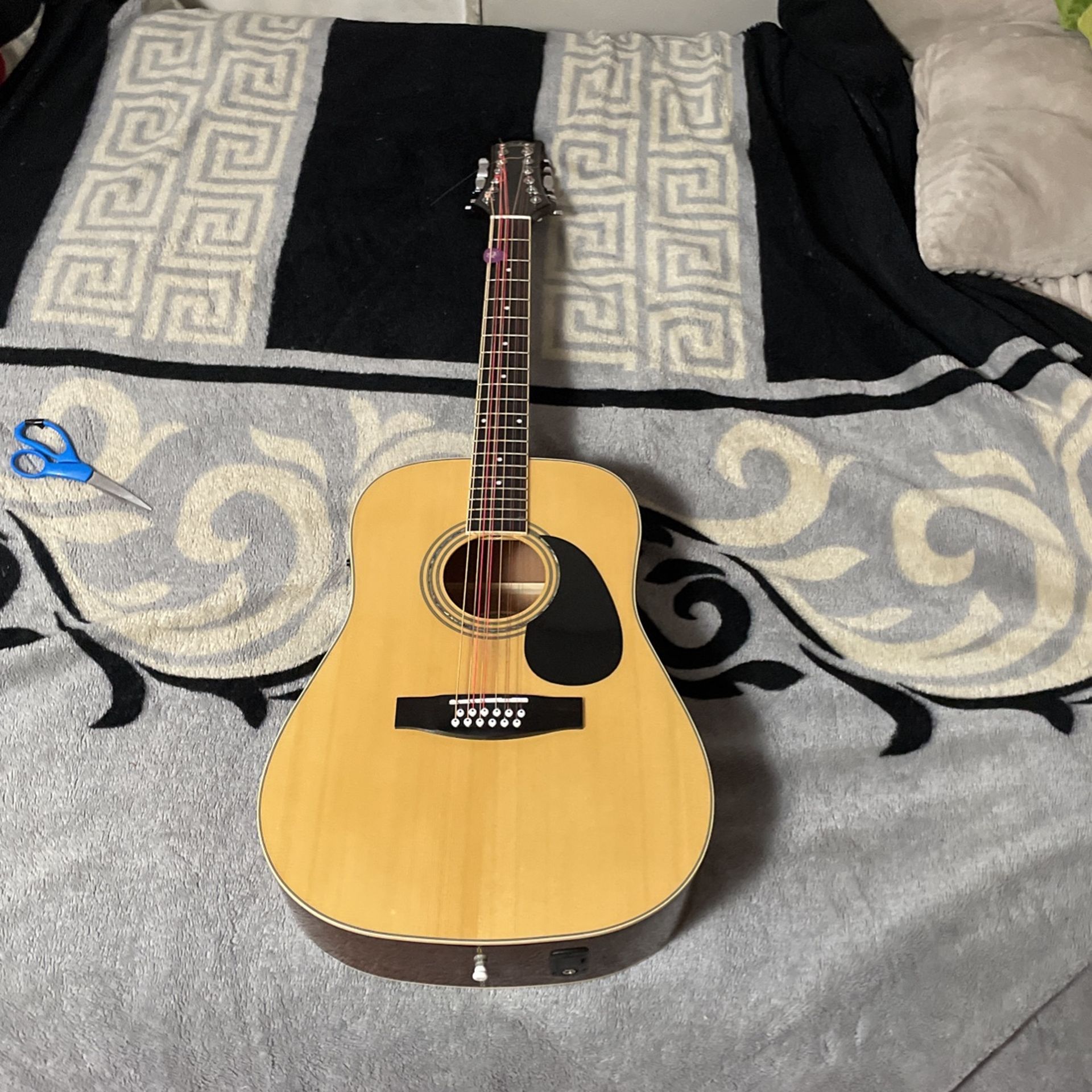 12 String Guitar