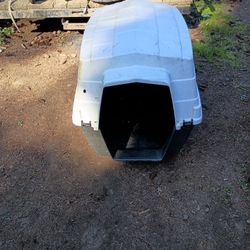 Large Dog house