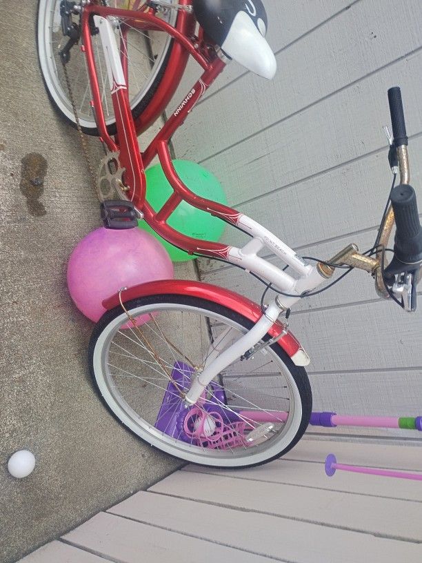Point Beach Schwinn
