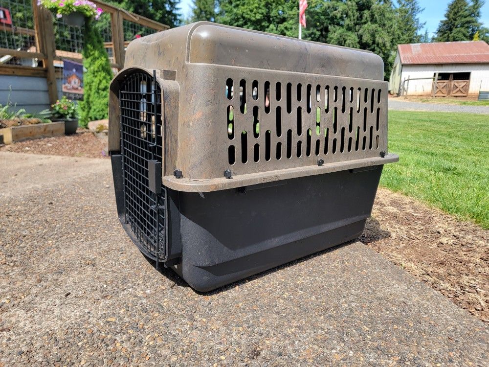 Dog Kennel