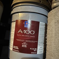 White Exterior Paint