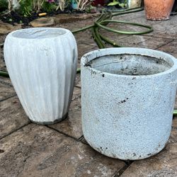 Concrete Pot/ Plantes 