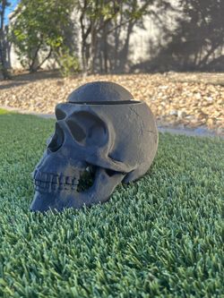 3-D Custom-Made Black Skull