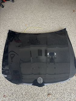 2009 BMW 328i hood