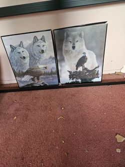 Wolf pictures with frame