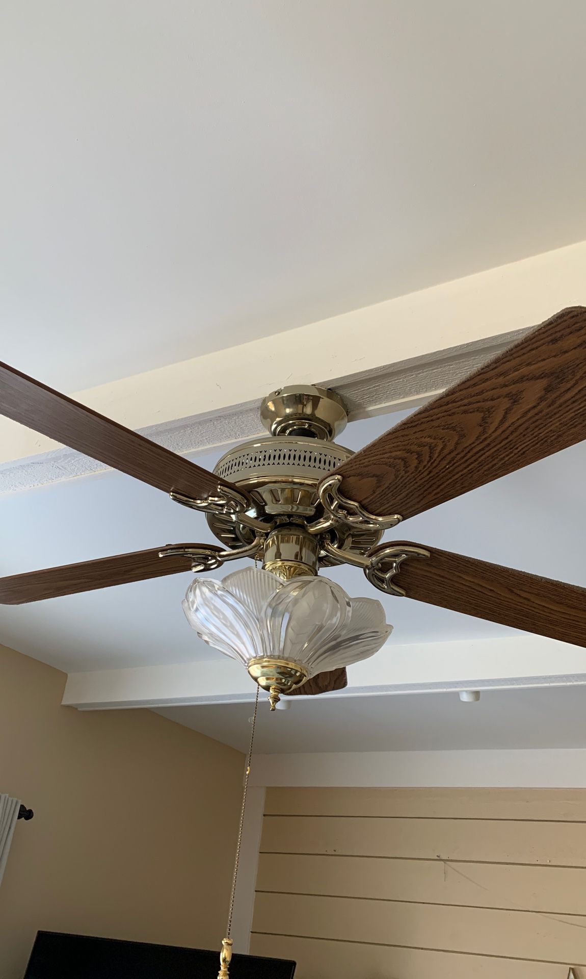 Ceiling fan with light