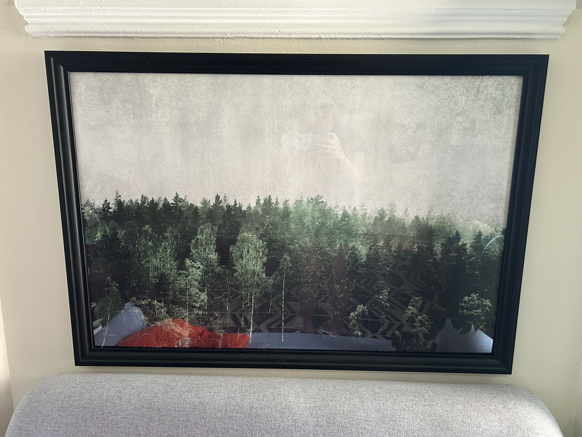 Forest Picture 
