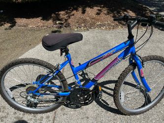 Roadmaster Mt. Fury 15 speed Girls/ women’s bicycle.