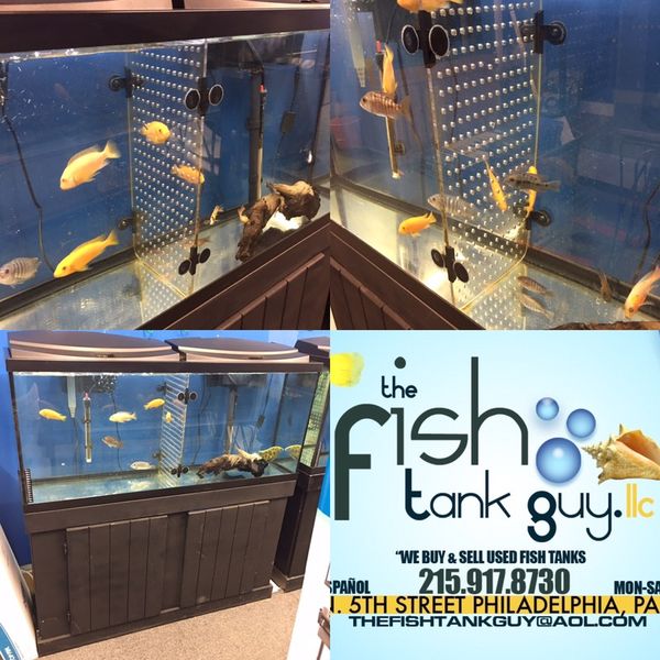 55 gallon fish tank acrylic tank dividers 30 for Sale in Philadelphia