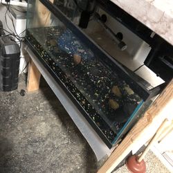 20 Gallon Tank Filter Heater Bubbler Included. 