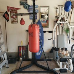 Everlast Punching Bag Speed Bag Combo