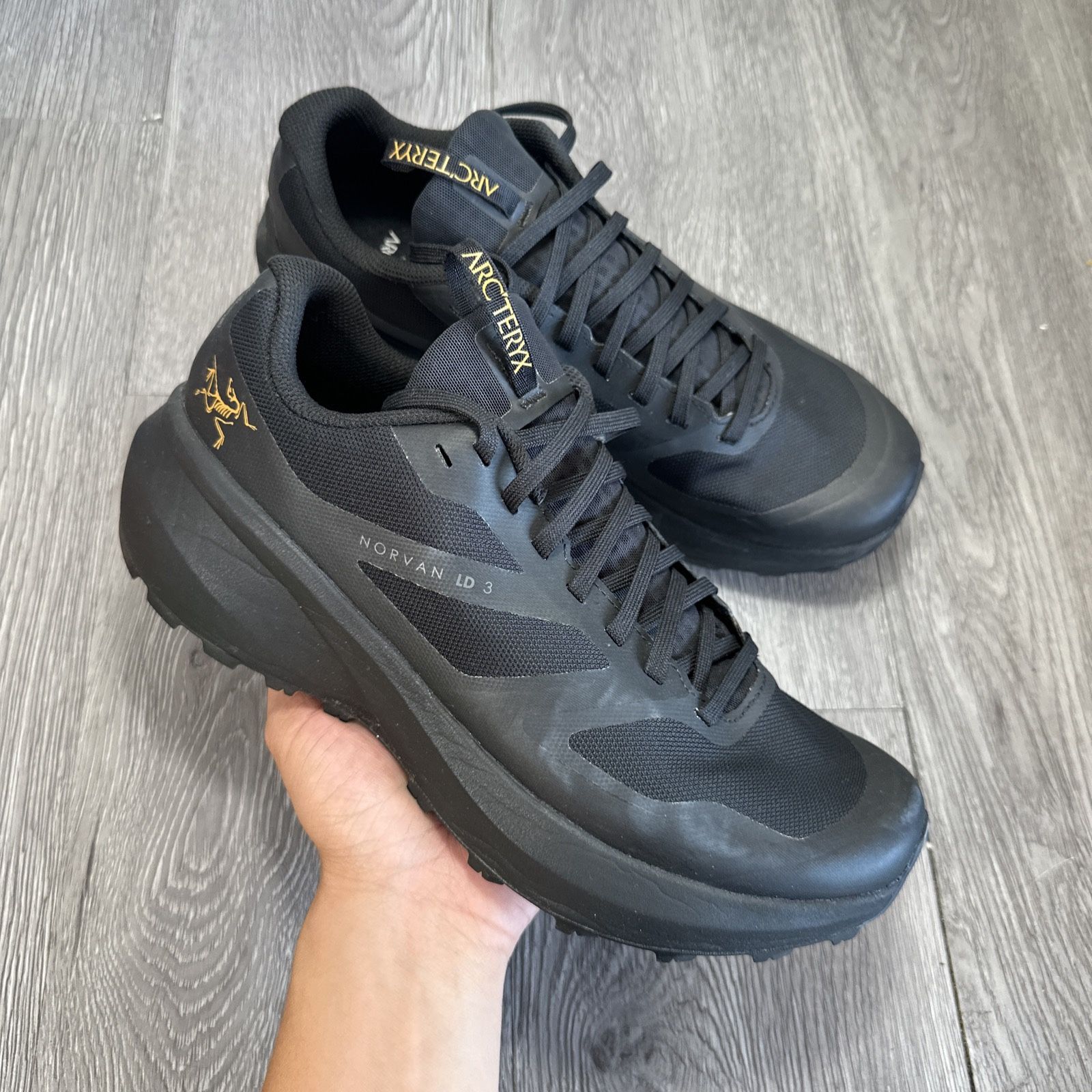 Arcteryx Norvan LD Goretex Hiking Outdoors Trail Vibram Sole