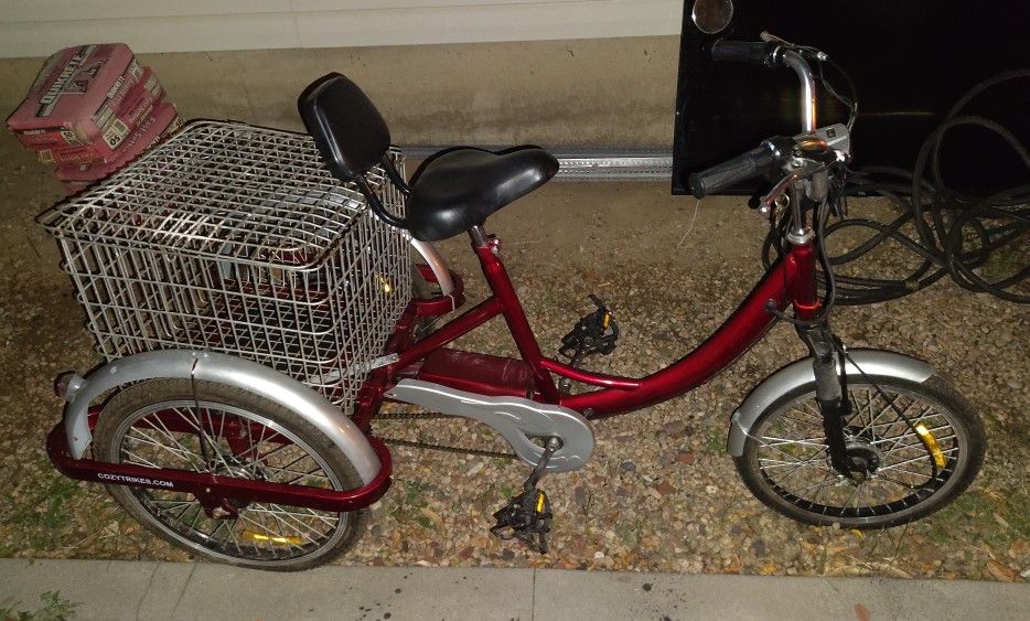 Adult Motorized Bicycle