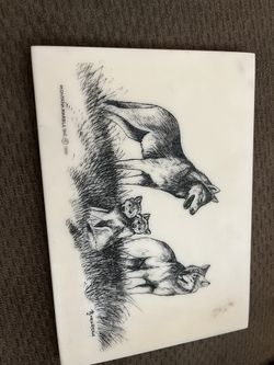 Montana Wolfe Picture 