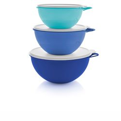 Tupperware new set price firm
