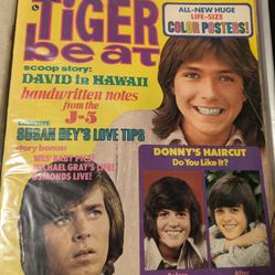 1970s Tiger Beat/Teen Magazines