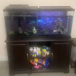 Fish Tank And Stand And Everything Fish Tank Related