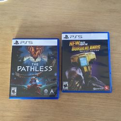Pathless And Borderlands Ps5