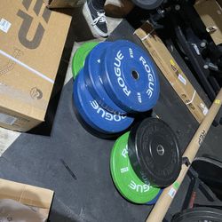 Gym Equipment And Weights 