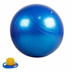 Exercise Gym Ball w/ Pump