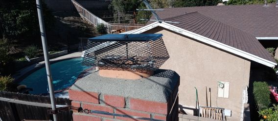 Chimney Sweep Spark Arrester Fireplace