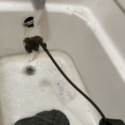 Drain cleaning only 75$! 