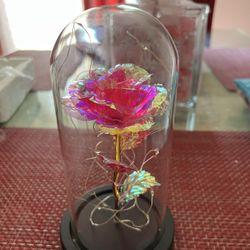 Enchanted Rose