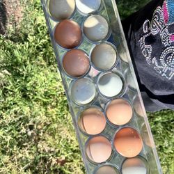 Organic Farm Fresh Eggs 