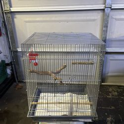 Bird Cage 
