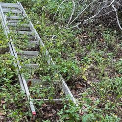 Ladder