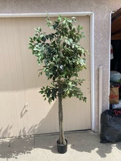 Beautiful’ tall Artificial Tree $40.00