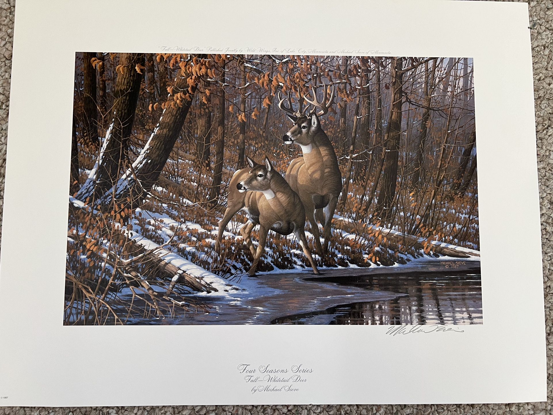 Unframed Artwork