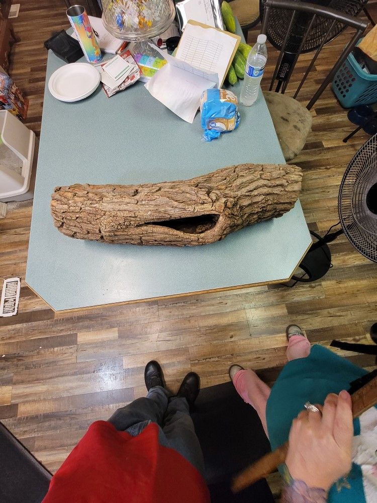 LIZARD LOG