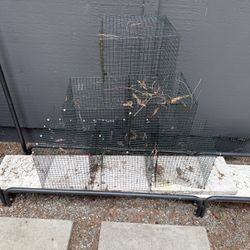 Metal Walls For Plants