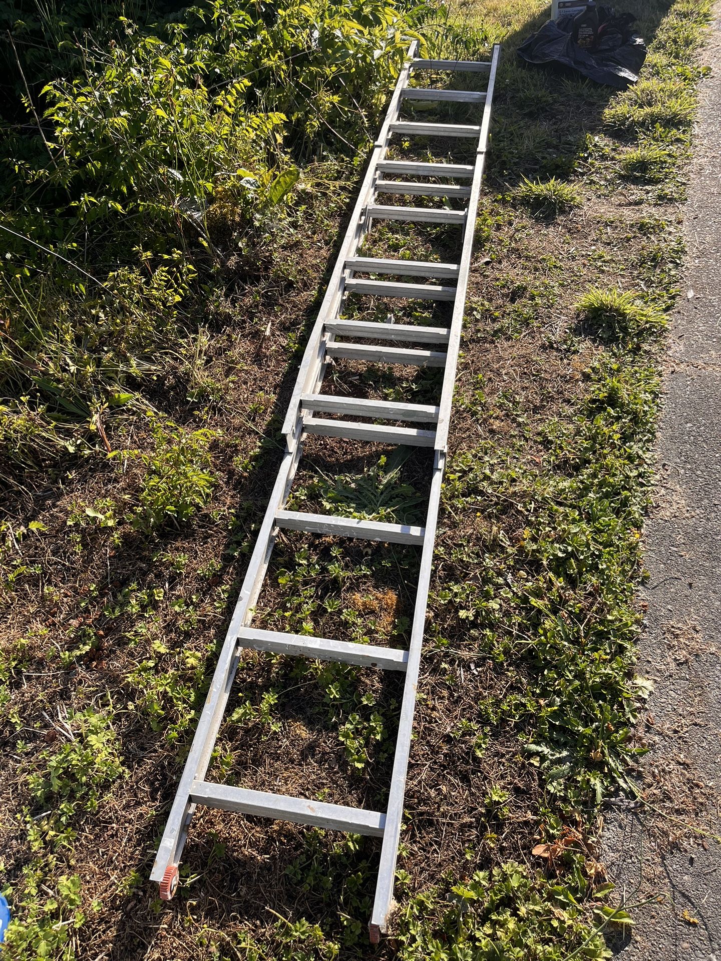 Ladder