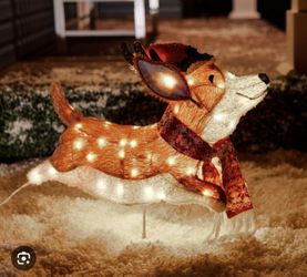 Christmas Lighted Dog