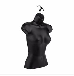 Torso