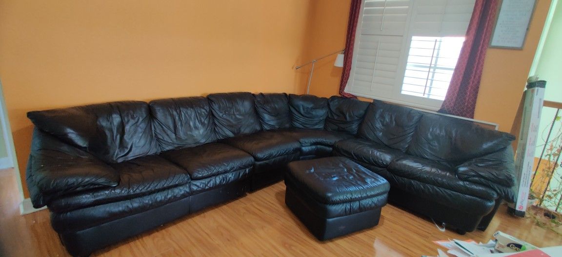 Free Natuzzi Leather Sofa