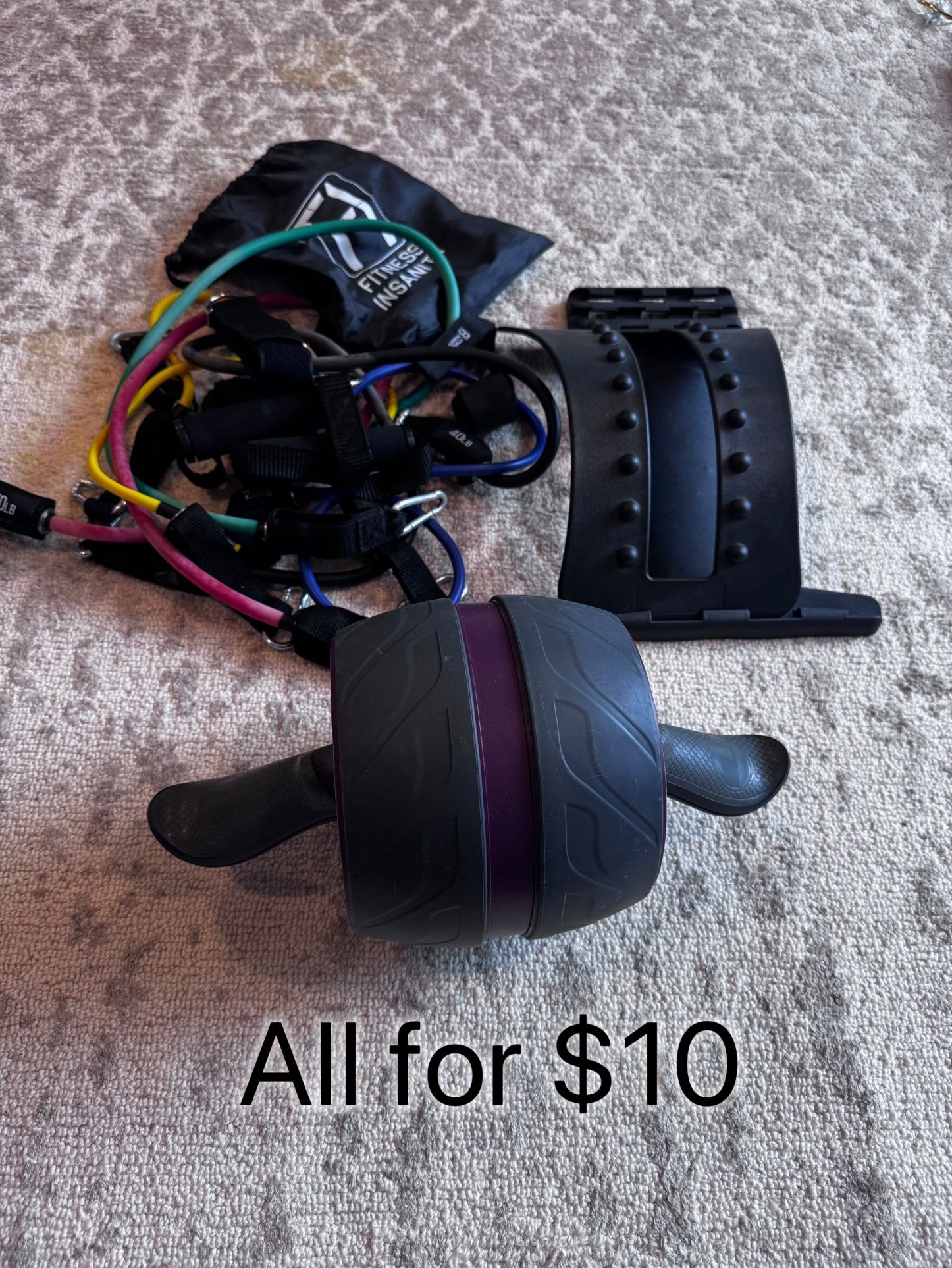Home Gym Equipment + Smart Scale + Pet Tent