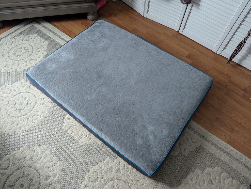 Orthopedic Dog Bed