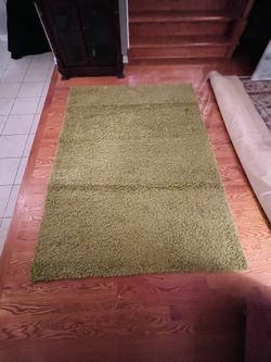Green Shag Area  rug 7 x 5’