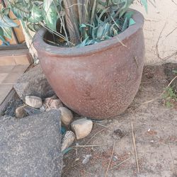 2 Plant Pots Br/clay Wht/concrete