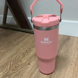 NEW PINK STANLEY FLIP STRAW